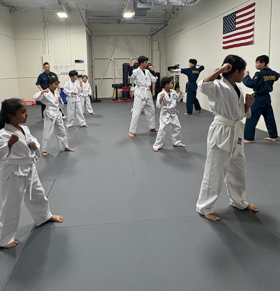 Kids Taekwondo at Saga Taekwondo