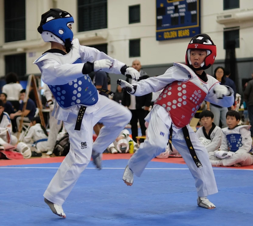 Kids Taekwondo at Saga Taekwondo